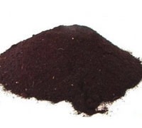 Blood Meal