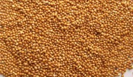Hulled Yellow Millet