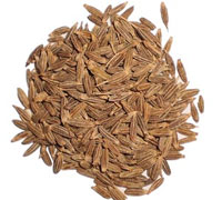 Jeera
