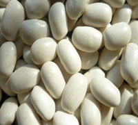 NAVY BEANS