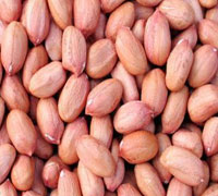 Raw Peanut 45/55