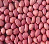 Red Skin Peanut 50/60