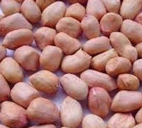 Round Peanut 50/60