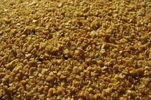 Soybean Meal