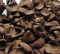 PALM KERNEL SHELL